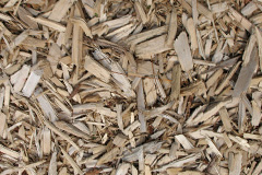 biomass boilers Little Wood Corner